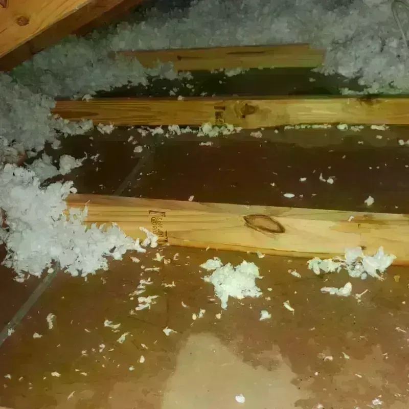 Attic Water Damage in Eucalyptus Hills, CA